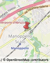 Vivai Piante e Fiori Manoppello,65024Pescara