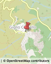 Associazioni Sindacali Isola del Giglio,58012Grosseto