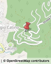 Falegnami Poggio Catino,02040Rieti