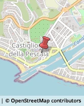 Frutta e Verdura - Ingrosso Castiglione della Pescaia,58043Grosseto