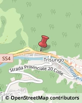 Autofficine e Centri Assistenza Arquata del Tronto,63096Ascoli Piceno