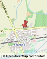 Articoli Sportivi - Dettaglio Scarlino,58020Grosseto