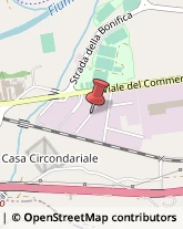 Agenti e Rappresentanti di Commercio Ascoli Piceno,63100Ascoli Piceno