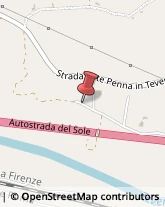 Aziende Agricole Orte,01028Viterbo