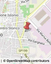 Nettezza Urbana - Servizio San Salvo,66050Chieti