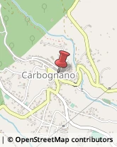 Aziende Agricole Carbognano,01030Viterbo