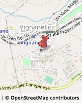 Notai Vignanello,01039Viterbo