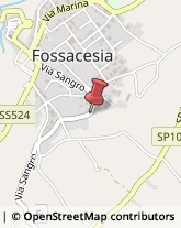 Autotrasporti Fossacesia,66022Chieti