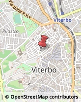 Coppe e Trofei - Dettaglio Viterbo,01100Viterbo