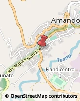 Trasporto Pubblico Amandola,63857Fermo