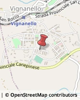 Aziende Agricole Vignanello,01039Viterbo