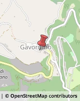 Frizioni e Freni Gavorrano,58023Grosseto