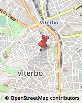 Fisiokinesiterapia - Medici Specialisti Viterbo,01100Viterbo