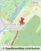 Pelletterie - Dettaglio Scarlino,58022Grosseto