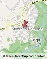 Tour Operator e Agenzia di Viaggi Mazzano Romano,00060Roma