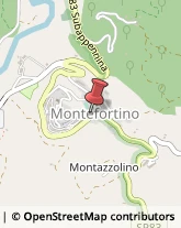 Autotrasporti Montefortino,63044Fermo