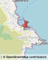 Ortopedia e Traumatologia - Medici Specialisti Isola del Giglio,58012Grosseto