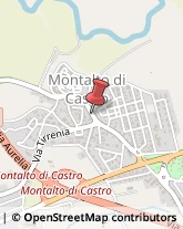 Leasing Montalto di Castro,01014Viterbo