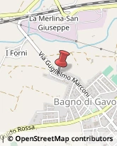 Falegnami,58023Grosseto