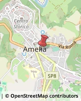 Ottica, Occhiali e Lenti a Contatto - Dettaglio Amelia,05022Terni