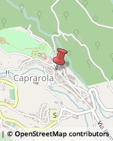 Toner, Cartucce e Nastri Caprarola,01032Viterbo