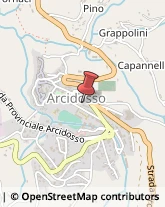 Assicurazioni,58031Grosseto