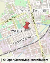 Elettrauto San Benedetto del Tronto,63039Ascoli Piceno