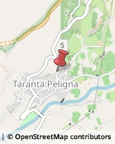 Consulenza Commerciale Taranta Peligna,66018Chieti