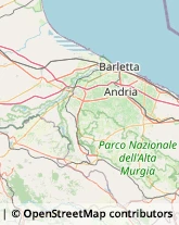 Studi Medici Generici Canosa di Puglia,76012Barletta-Andria-Trani