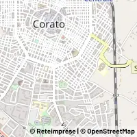 Kart Corato