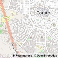 Kart Corato