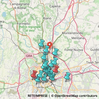 Mappa Via Salaria km 25.350, 00015 Monterotondo RM, Italia (9.06833)