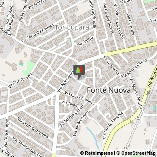 Calzature su Misura,00013Roma