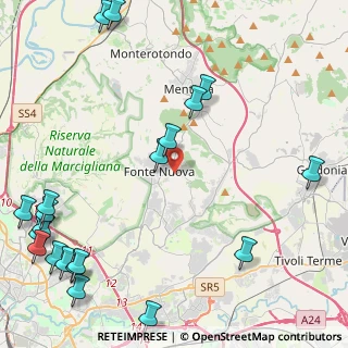Mappa 00013 Fonte Nuova RM, Italia (6.8195)