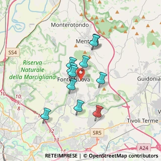 Mappa 00013 Fonte Nuova RM, Italia (2.91091)