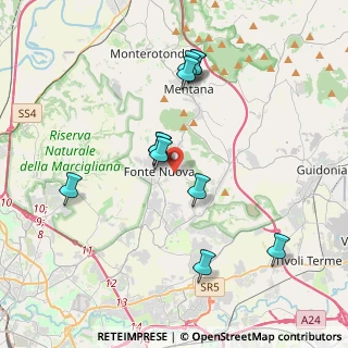 Mappa 00013 Fonte Nuova RM, Italia (3.88364)