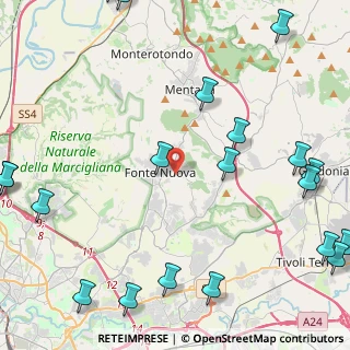 Mappa 00013 Fonte Nuova RM, Italia (7.071)