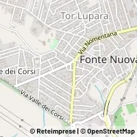 Peta Fonte Nuova