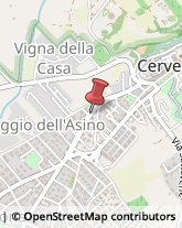 Via Alessandro Manzoni, 31,00052Cerveteri