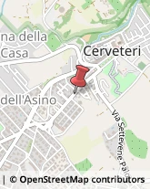 Via Settevene Palo, 196,00052Cerveteri