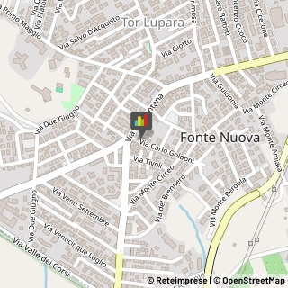 Studi Consulenza - Amministrativa, Fiscale e Tributaria,00013Roma