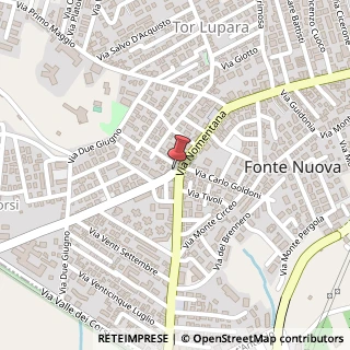 Mappa Via IV Novembre, 10, 00013 Fonte Nuova, Roma (Lazio)