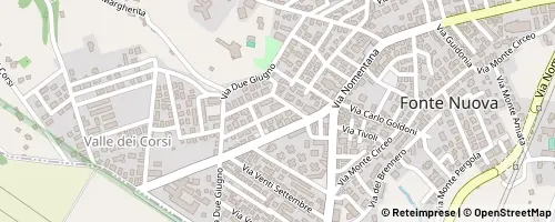 Mappa Fonte Nuova