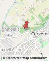 Via della Necropoli, 29,00052Cerveteri