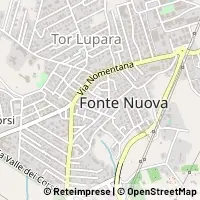 Kart Fonte Nuova