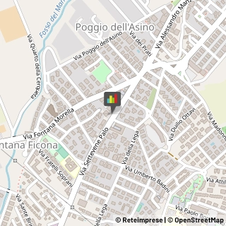 Vendite per Corrispondenza,00052Roma