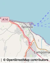 Agenti e Rappresentanti di Commercio Termoli,86039Campobasso