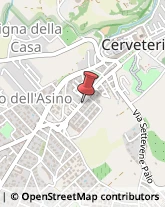 Via Settevene Palo, 147,00052Cerveteri