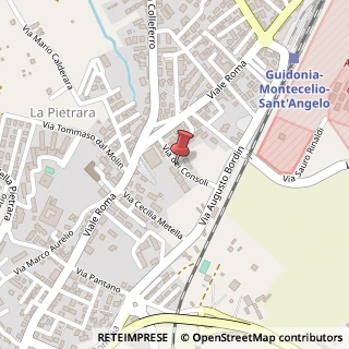 Mappa Via dei Consoli, 2, 00012 Guidonia Montecelio, Roma (Lazio)