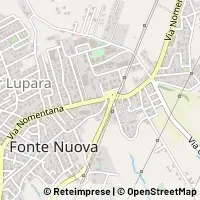 Map Fonte Nuova